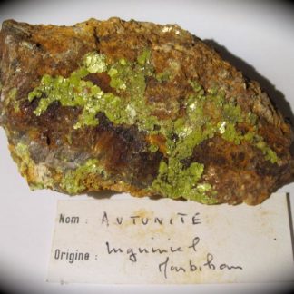 Autunite, Inguiniel, Morbihan, Bretagne.