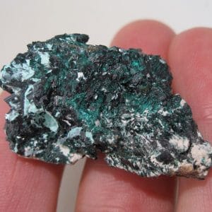 Cristaux de Brochantite, Milpillas, Cananea, Sonora, Mexique.