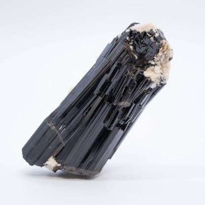 Tourmaline (schorl) et Albite, La Salvetat-sur-Agout, Hérault.