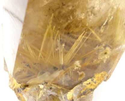 Quartz fumé à inclusions de Rutile, Brésil.