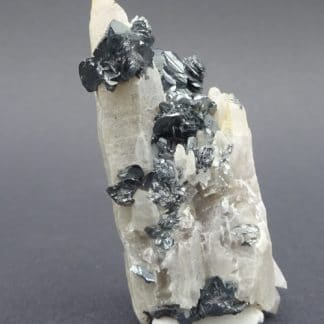 Hematite sur Quartz, Ile d'Elbe, Italie.