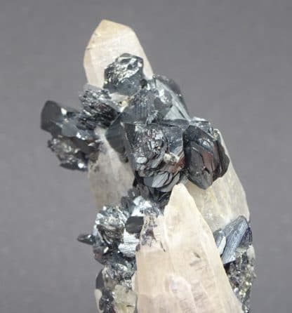 Hematite sur Quartz, Ile d'Elbe, Italie.