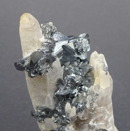 Hematite sur Quartz, Ile d'Elbe, Italie.