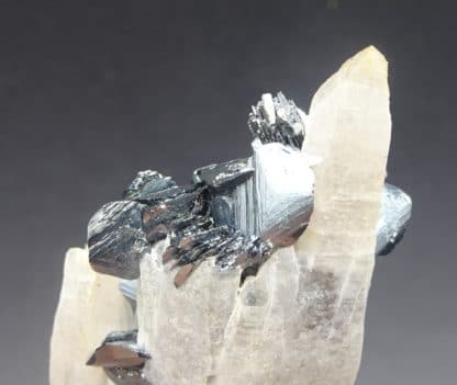 Hematite sur Quartz, Ile d'Elbe, Italie.