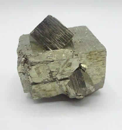 Pyrite maclée, Monticciano, Sienne, Toscane, Italie