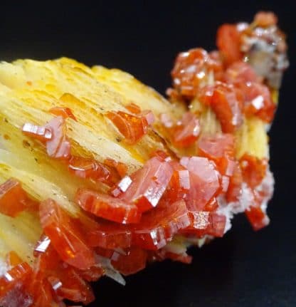 Vanadinite sur baryte, Mibladen, Maroc.