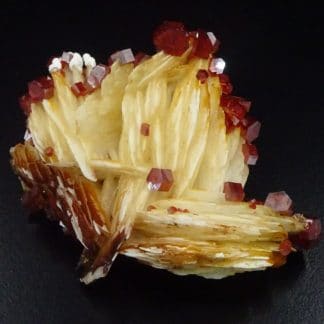 Vanadinite hexagonale sur baryte, Mibladen, Maroc.