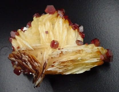 Vanadinite hexagonale sur baryte, Mibladen, Maroc.