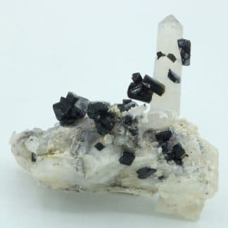 Ilvaïte et quartz, Campiglia Marittima, Grossetto, Italie.