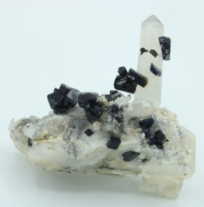 Ilvaïte et quartz, Campiglia Marittima, Grossetto, Italie.