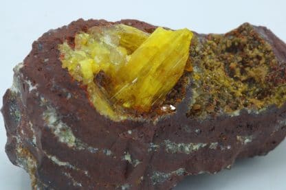 Legrandite, mine d'Ojuela, Mexique.