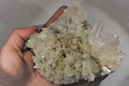 Quartz sceptre, Clavans, Oisans, Isère.