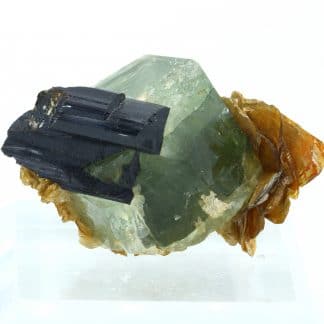 Apatite, Schorl, Muscovite, Skardu District, Gilgit-Baltistan, Pakistan.