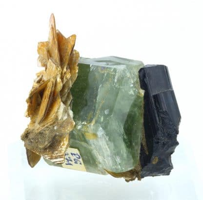 Apatite, Schorl, Muscovite, Skardu District, Gilgit-Baltistan, Pakistan.