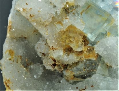 Fluorine bleue sur Quartz, Le Burc (Le Burg), Tarn, France.