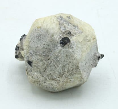 Leucite et augite, Roccamonfina, Caserte, Campanie, Italie.