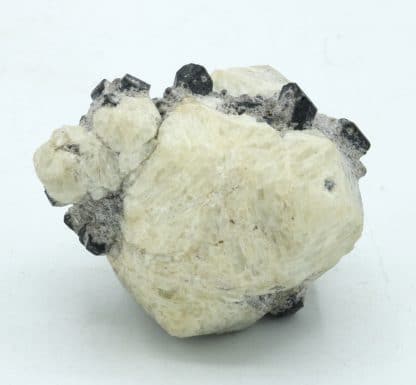 Leucite et augite, Roccamonfina, Caserte, Campanie, Italie.