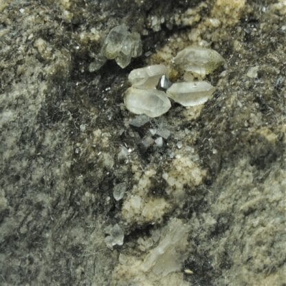 Anatases et Quartz, Thusis, Grisons, Suisse.