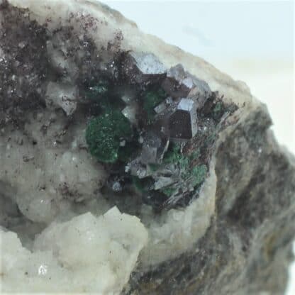 Cuprite et Malachite sur Dolomie, Tsumeb, Namibie.