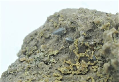 Tourmaline dravite sur plaque d'albite de la Lauzière en Savoie