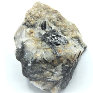 Wolframite et Tourmaline, Butte de Bouder, Pont-Scorff, Finistère.