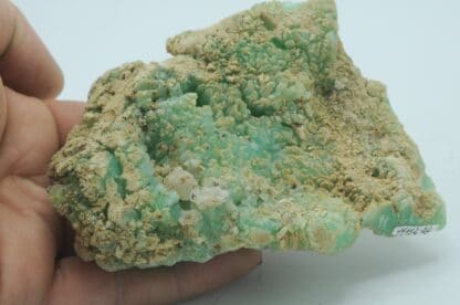 Quartz Chrysoprase, Marlborough, Rockampton, Queensland, Australie.