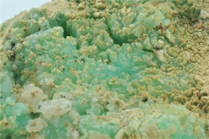 Quartz Chrysoprase, Marlborough, Rockampton, Queensland, Australie.