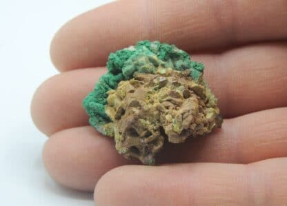 Bindheimite sur Bournonite et Malachite, Usclas-du-Bosc, Loiras, Hérault.