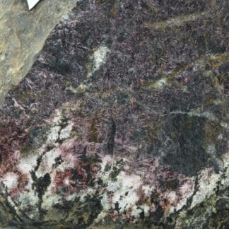 Erythrite, Hornésite, La Cena del Depósito, Almería, Andalousie, Espagne.