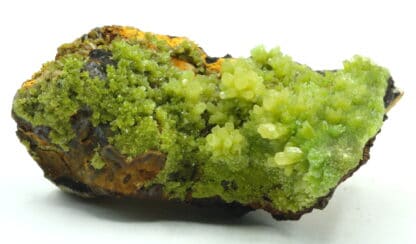 Cristaux de Pyromorphite provenant de Guilin, Guangxi, Chine.