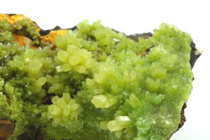 Cristaux de Pyromorphite provenant de Guilin, Guangxi, Chine.