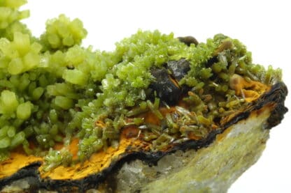 Cristaux de Pyromorphite provenant de Guilin, Guangxi, Chine.