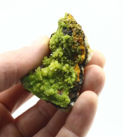 Cristaux de Pyromorphite provenant de Guilin, Guangxi, Chine.