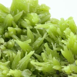 Pyromorphite de Daoping Mine, Guilin, Guangxi, Chine.