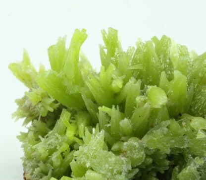 Pyromorphite de Daoping Mine, Guilin, Guangxi, Chine.