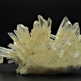 Voici un très beau « hérisson » de quartz assez brillant. Certaines pointes atteignent les 6 cm. Quelques pyrites dodécaèdriques sont visibles en inclusions. Ensemble très aérien et de bonne taille. Une belle macle de la Gardette (ou du Japon) est visible au cœur de l’ensemble de cristaux de quartz. Deux cristaux s’interpénètrent à 84,33° et partagent une partie de leur réseau cristallin.  Ce gisement n’est pas loin de Grenoble, et à quelques dizaines de kilomètres de la mine de La Gardette en Oisans, qui a donné son nom à cette célèbre macle, à la suite d’une publication la décrivant en 1833.   En provenance des filons des Rivoirands, sur les hauteurs de Vizille dans le département de l’Isère.  Voici une vidéo de cet ensemble de cristaux de quartz avec macle de la Gardette en provenance des Rivoirands, à Vizille en Isère :