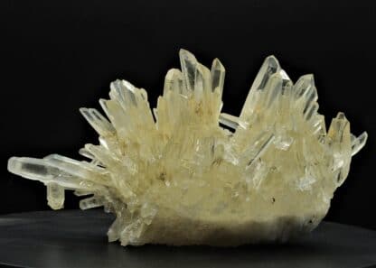 Voici un très beau « hérisson » de quartz assez brillant. Certaines pointes atteignent les 6 cm. Quelques pyrites dodécaèdriques sont visibles en inclusions. Ensemble très aérien et de bonne taille. Une belle macle de la Gardette (ou du Japon) est visible au cœur de l’ensemble de cristaux de quartz. Deux cristaux s’interpénètrent à 84,33° et partagent une partie de leur réseau cristallin.  Ce gisement n’est pas loin de Grenoble, et à quelques dizaines de kilomètres de la mine de La Gardette en Oisans, qui a donné son nom à cette célèbre macle, à la suite d’une publication la décrivant en 1833.   En provenance des filons des Rivoirands, sur les hauteurs de Vizille dans le département de l’Isère.  Voici une vidéo de cet ensemble de cristaux de quartz avec macle de la Gardette en provenance des Rivoirands, à Vizille en Isère :