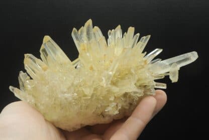 Quartz avec une macle de la Gardette (ou du Japon), Les Rivoirands, Vizille, Isère.