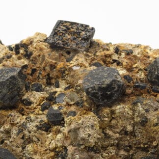 Augite (mineral)