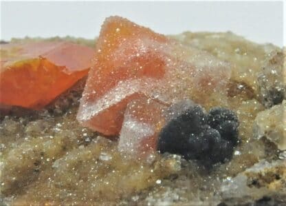 Wulfénite très colorée et Quartz, M’Fouati, Congo, Afrique.