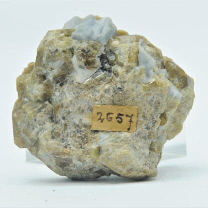 Calcite bleue et Vésuvianite, Monzoni, Tyrol, Italie.