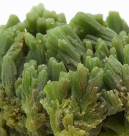 Pyromorphite, Yang Shao, Guilin, Guangxi, minéral de Chine.