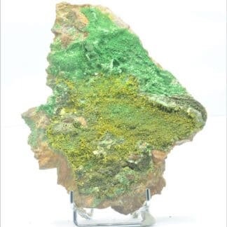 Autunite et Torbernite, Les Bois-Noirs, Saint-Priest-la-Prugne, Forez, Loire.