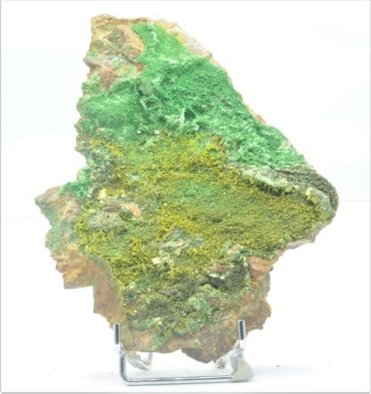 Autunite et Torbernite, Les Bois-Noirs, Saint-Priest-la-Prugne, Forez, Loire.