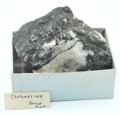 Tourmaline (schorl), Berzet, Puy-de-Dôme, Auvergne.