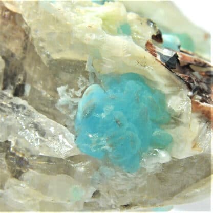 Hémimorphite bleue sur Cérusite, M’Fouati, Congo, Afrique.