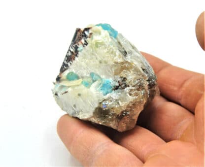 Hémimorphite bleue sur Cérusite, M’Fouati, Congo, Afrique.