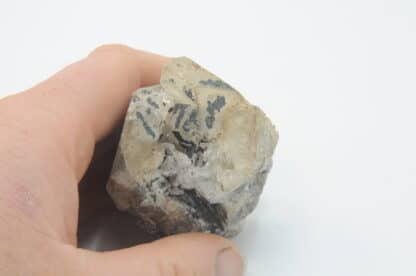 Mottramite sur Cérusite, M’Fouati, Congo, Afrique.