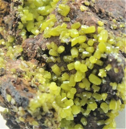 Pyromorphite, M’Fouati, Congo, Afrique.