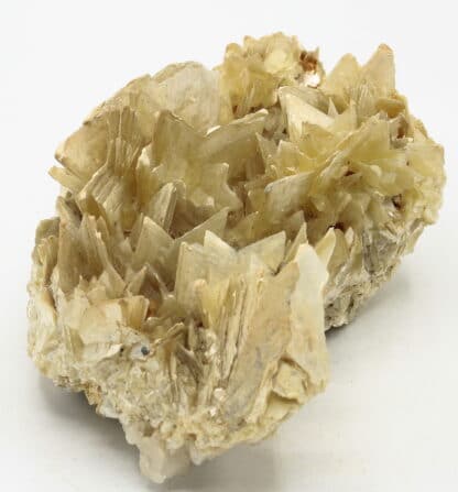 Mica (muscovite) en étoile, Linópolis, Minas Gerais, Brésil.